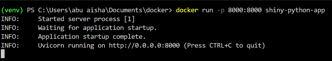 How to Dockerize a Python Shiny Application